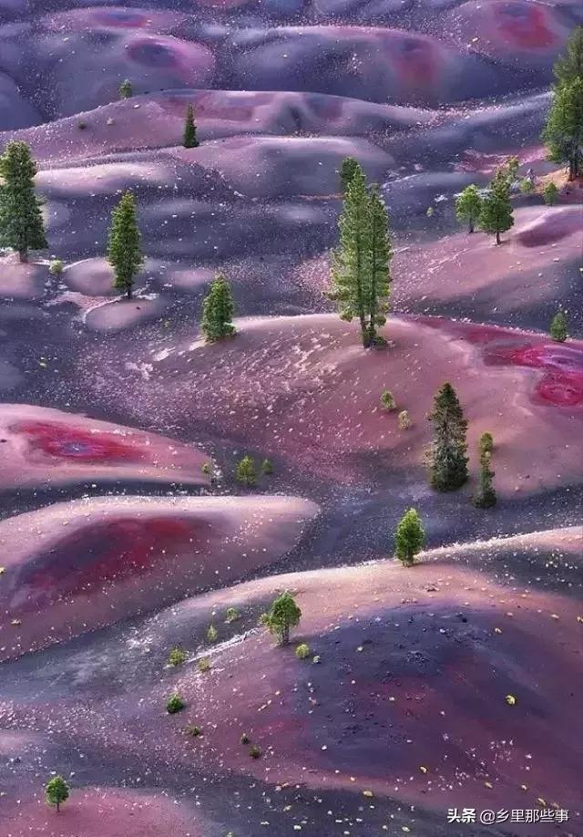 狍子雪地被困,被当地养殖户解救后呆在原地,久久不肯离去